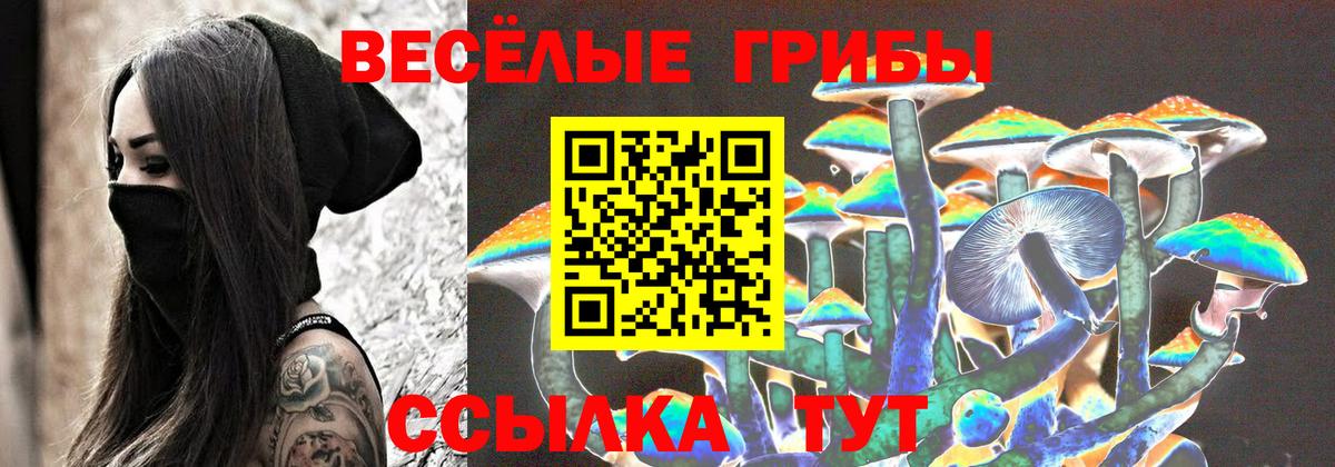 Галлюциногенные грибы Cubensis Долгопрудный