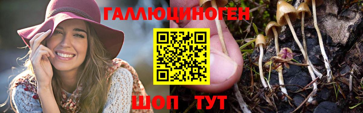 Псилоцибиновые грибы Psilocybine cubensis  Псилоцибиновые грибы мухоморы  Долгопрудный  Вход с VPN 